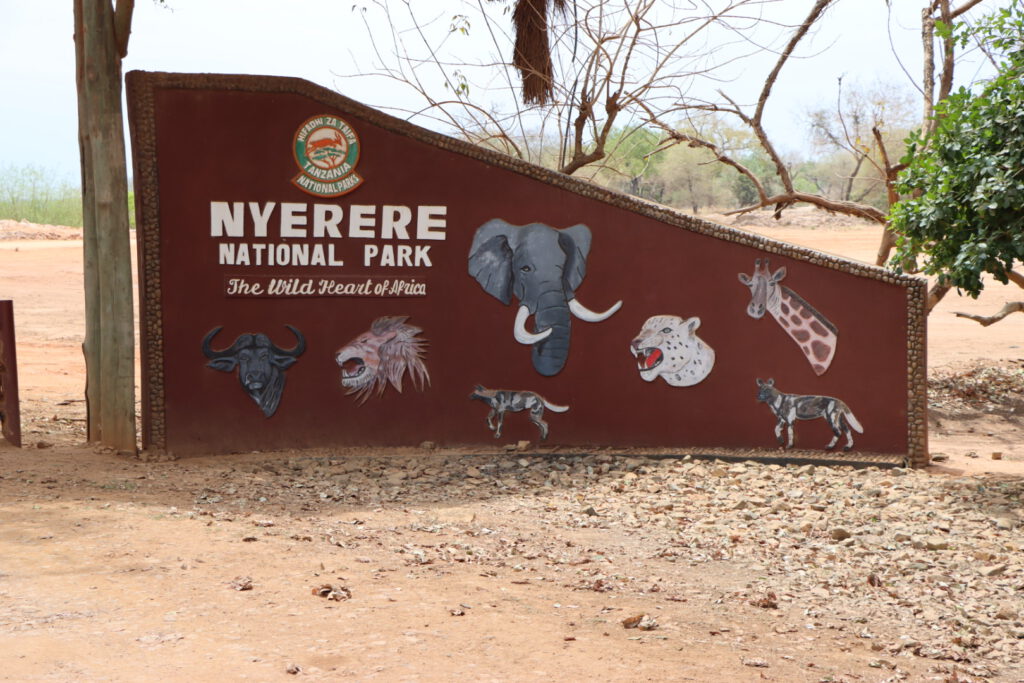 Nyerere Nationalpark: „The wild heart of Africa“